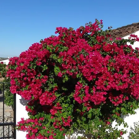 Casa Esperanca - Carefree Living With Big Private Pool And Great Views Villa *